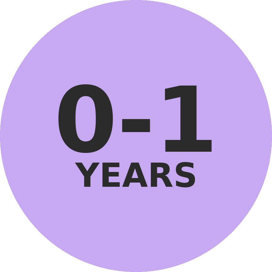 Toys for babies aged 0 to 1 year